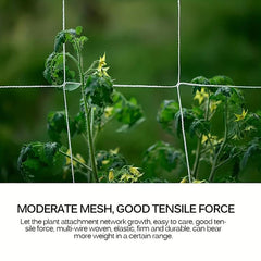 5x15ft Plant Climbing Vine Net for DIY Plant Support