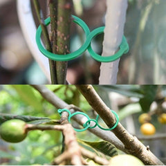 50pcs Garden Plant Stand Kit Trellis Clip Rattan Vegetable Twine & Ties