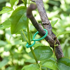 50pcs Garden Plant Stand Kit Trellis Clip Rattan Vegetable Twine & Ties