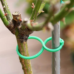 50pcs Garden Plant Stand Kit Trellis Clip Rattan Vegetable Twine & Ties