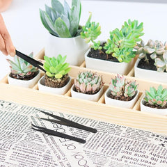 Succulent Plants Tools Set Garden Planter Kit Bonsai Tool Indoor Fairy Care