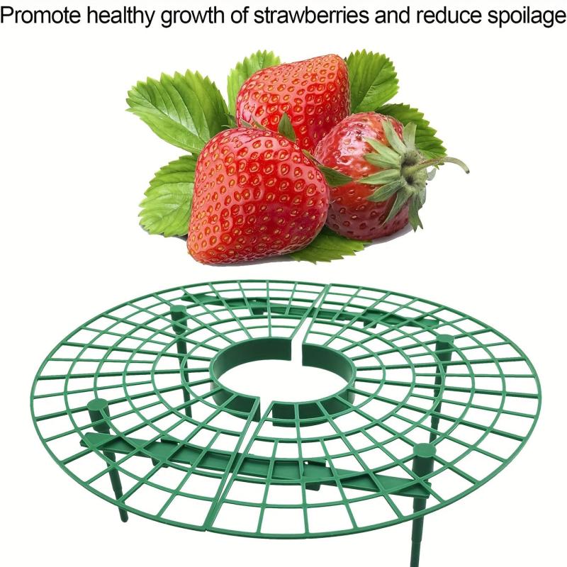 Green Strawberry Support Tray Balcony Planting Frame