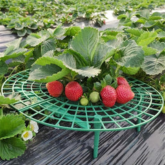 Green Strawberry Support Tray Balcony Planting Frame