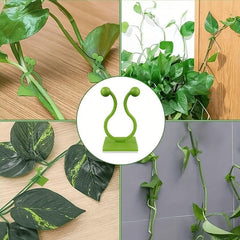 Self Adhesive Plant Climbing Wall Fasteners 30/50/100pcs
