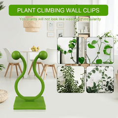 Self Adhesive Plant Climbing Wall Fasteners 30/50/100pcs