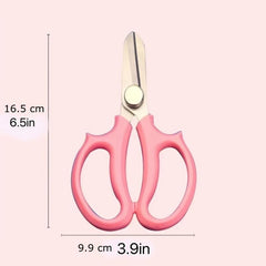 Stainless Steel Pruning Shears for Gardening