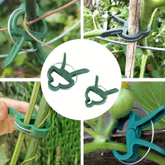 Heavy Duty Plant Support Clips for Climbing Plants and Flower Stems