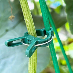 Heavy Duty Plant Support Clips for Climbing Plants and Flower Stems