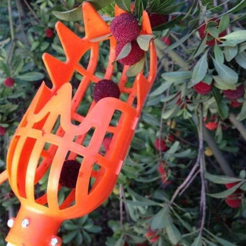 Plastic Fruit Picker Head for High Altitude Loquat Bayberry Picking