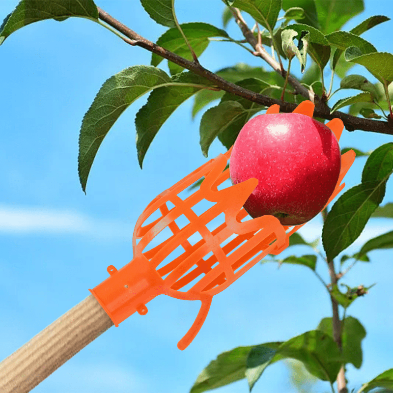 Plastic Fruit Picker Head for High Altitude Loquat Bayberry Picking