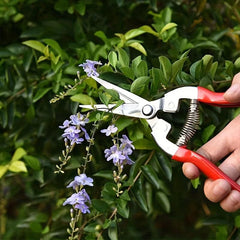 Stainless Steel Pruning Shears Micro Tip Garden Scissor