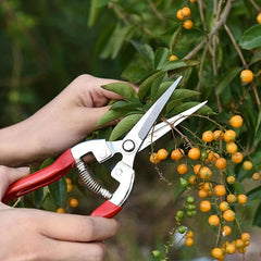 Stainless Steel Pruning Shears Micro Tip Garden Scissor