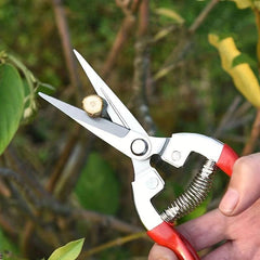 Stainless Steel Pruning Shears Micro Tip Garden Scissor