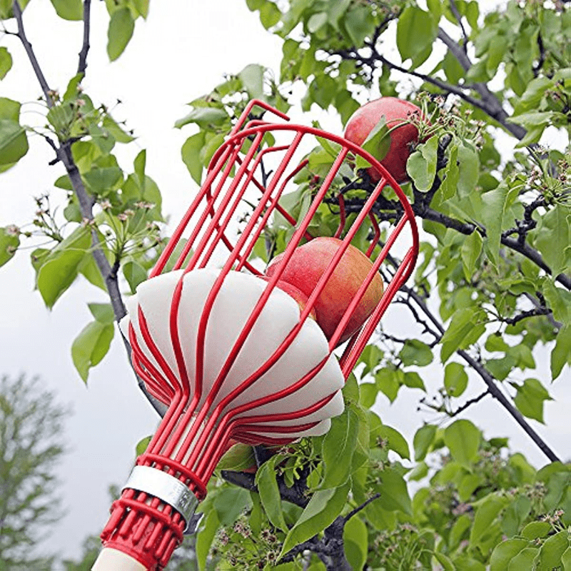 Fruit Picker Harvester Basket w/ Cushion to Prevent Bruising