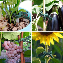 20pcs Garden Plant Clips Flower Gripper Clips Vegetables Tomat Support