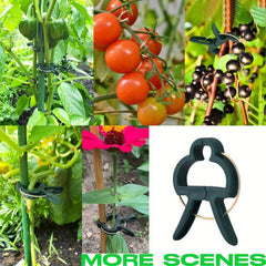 20pcs Garden Plant Clips Flower Gripper Clips Vegetables Tomat Support