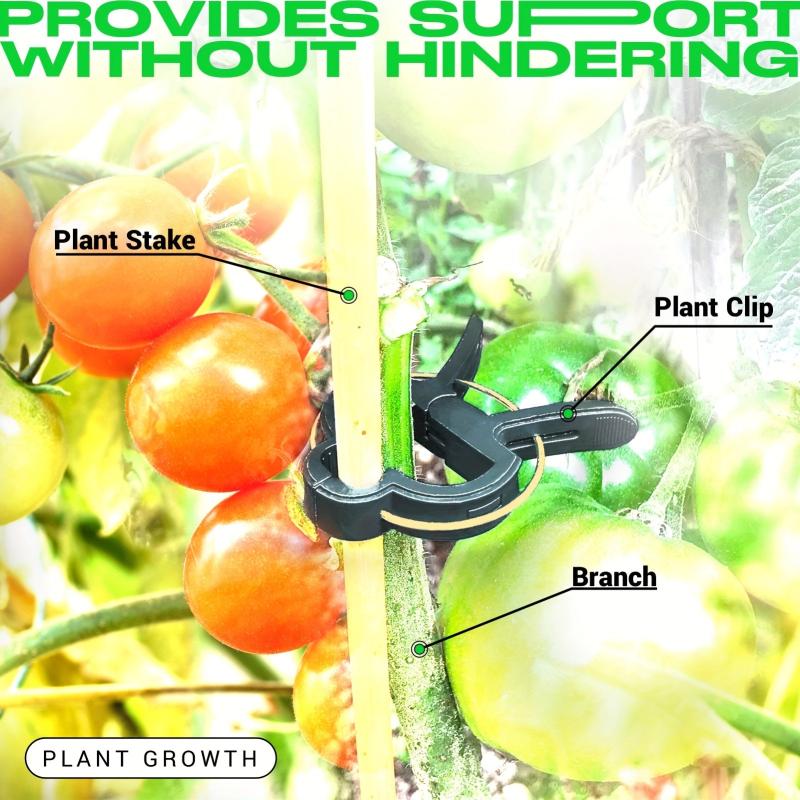 20pcs Garden Plant Clips Flower Gripper Clips Vegetables Tomat Support