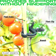 20pcs Garden Plant Clips Flower Gripper Clips Vegetables Tomat Support