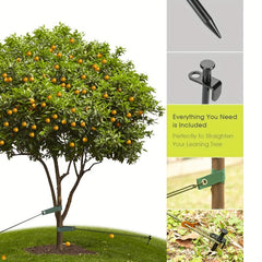 Heavy Duty Steel Tree Stake Kit - 11.8 Inches