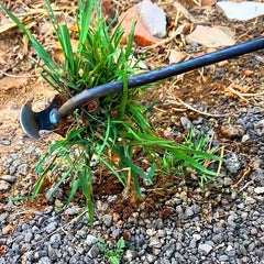 Manganese Steel 4-Tooth Weeding Tool