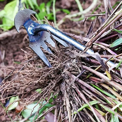 Manganese Steel 4-Tooth Weeding Tool