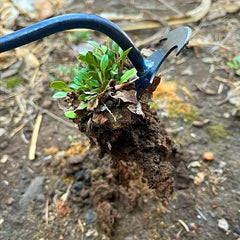 Manganese Steel 4-Tooth Weeding Tool
