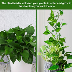10pcs Plant Climbing Fixture Clips with 12pcs Adhesive Sticker
