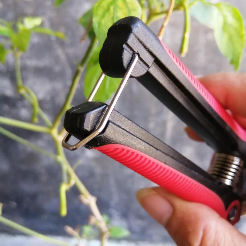 1pc Stainless Steel Pruning Shears For Gardening Hand Pruner Garden Scissors