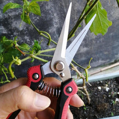 1pc Stainless Steel Pruning Shears For Gardening Hand Pruner Garden Scissors