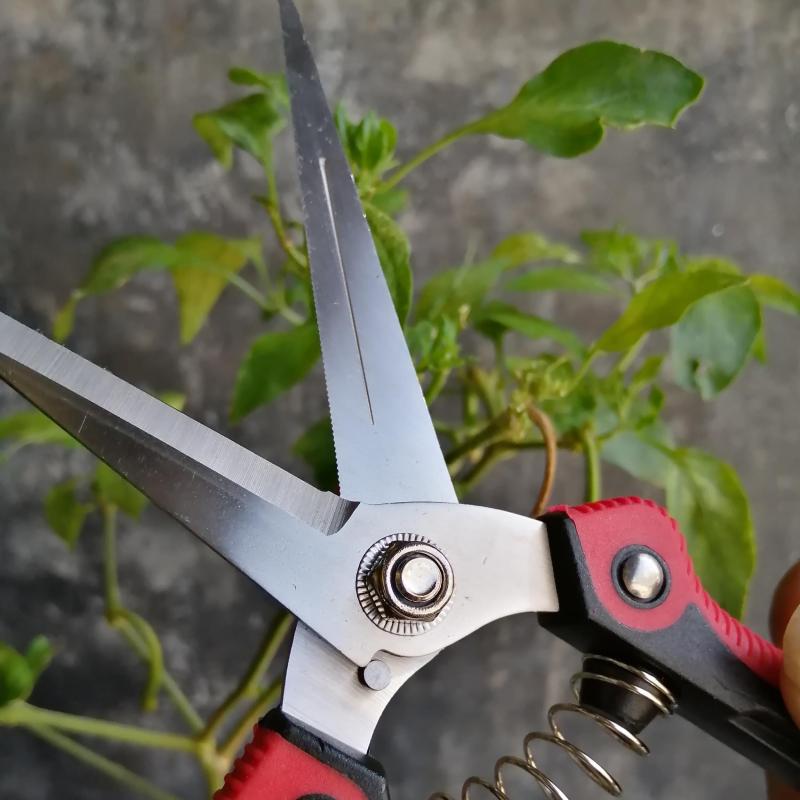 1pc Stainless Steel Pruning Shears For Gardening Hand Pruner Garden Scissors