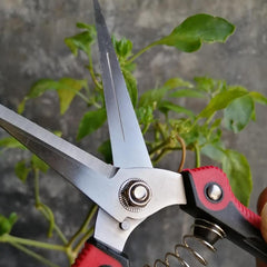 1pc Stainless Steel Pruning Shears For Gardening Hand Pruner Garden Scissors