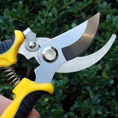 Stainless Steel Garden Pruning Shears for Fruit Pedicels