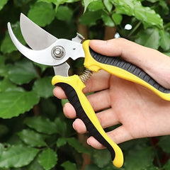 Stainless Steel Garden Pruning Shears for Fruit Pedicels