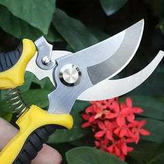Stainless Steel Garden Pruning Shears for Fruit Pedicels