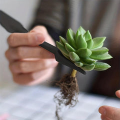 Mini Garden Hand Transplanting Succulent Tools Set for Indoor Fairy Care
