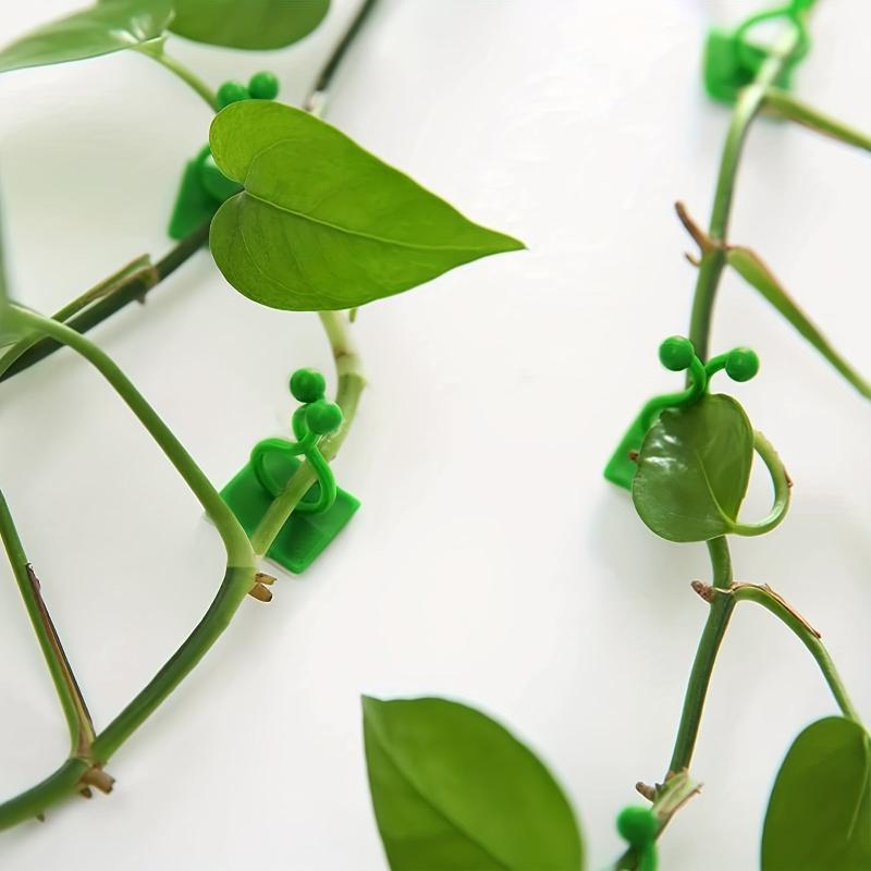 10pcs Plant Clips Self Adhesive for Climbing Vines