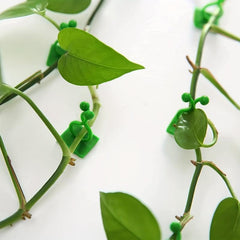 10pcs Plant Clips Self Adhesive for Climbing Vines
