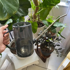 Watering Can with Long Nozzle for Succulent Plants Indoor/Outdoor Cactus Gray