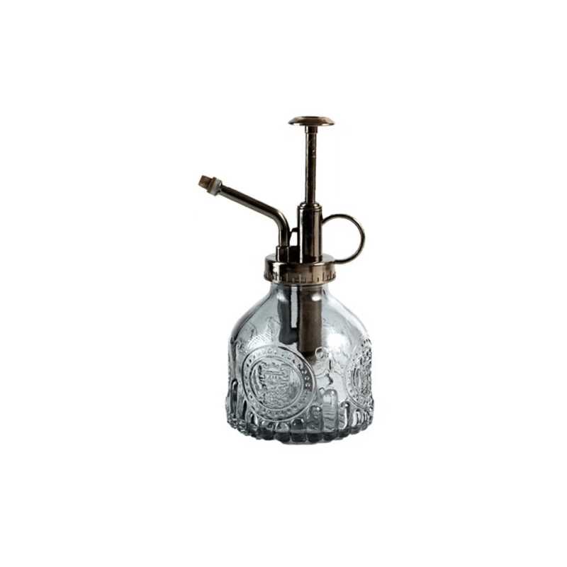 Vintage Plant Spritzer Glass Mister Spray Bottle for Succulent Watering