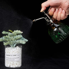 Vintage Plant Spritzer Glass Mister Spray Bottle for Succulent Watering