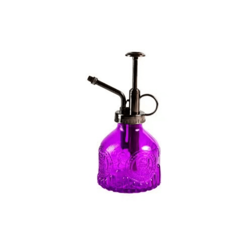 Vintage Plant Spritzer Glass Mister Spray Bottle for Succulent Watering