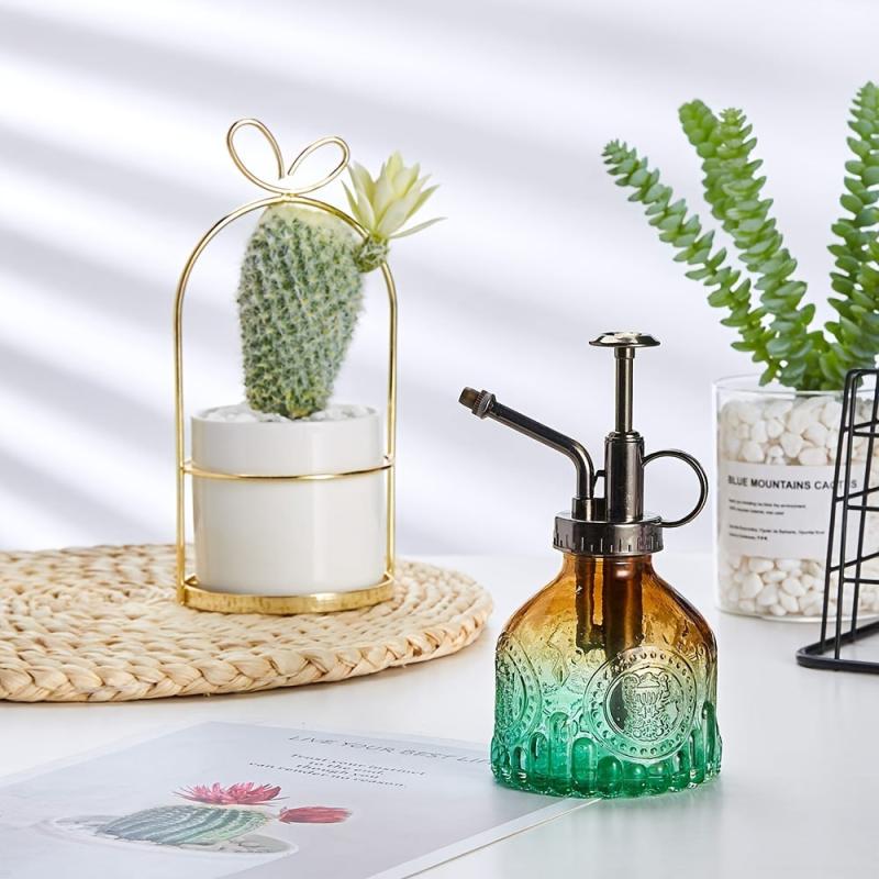 Vintage Plant Spritzer Glass Mister Spray Bottle for Succulent Watering