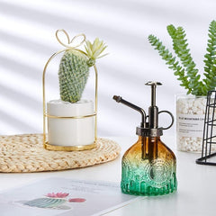 Vintage Plant Spritzer Glass Mister Spray Bottle for Succulent Watering
