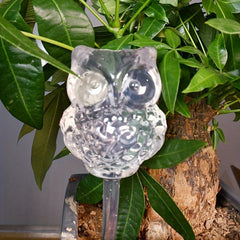 Automatic Watering Device for Houseplants Owl Design