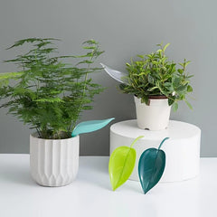 6pcs Indoor Plant Watering Funnel Devices for House Plants