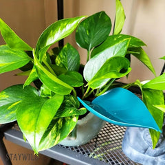6pcs Indoor Plant Watering Funnel Devices for House Plants