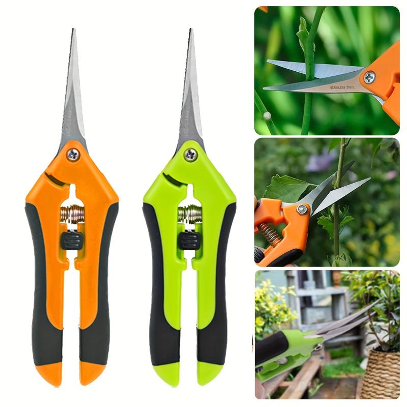 Stainless Steel Garden Pruning Shears for Plants, Fruits, Grape Picking