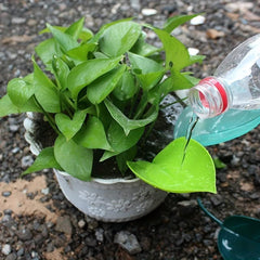 3pc Indoor Plant Watering Can Devices - Watering Can Pots Funnel