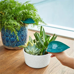 3pc Indoor Plant Watering Can Devices - Watering Can Pots Funnel