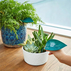 3pc Indoor Plant Watering Can Devices - Watering Can Pots Funnel